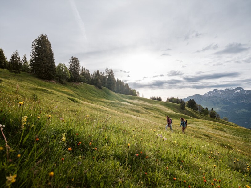 SWW_Spring_2024_0530
