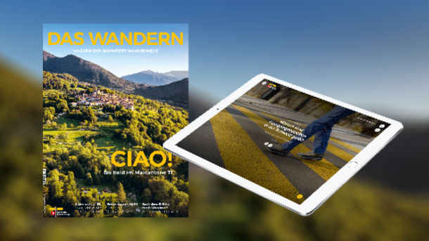 2026-2_Newsletter_800x450