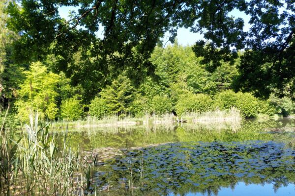 Themenwanderung 1. August (**/T1): Durchführung am Vormittag. Bitte neue Abfahrtszeit beachten.
