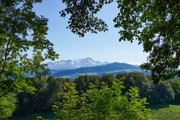 In Walsers Fussstapfen nach St. Gallen