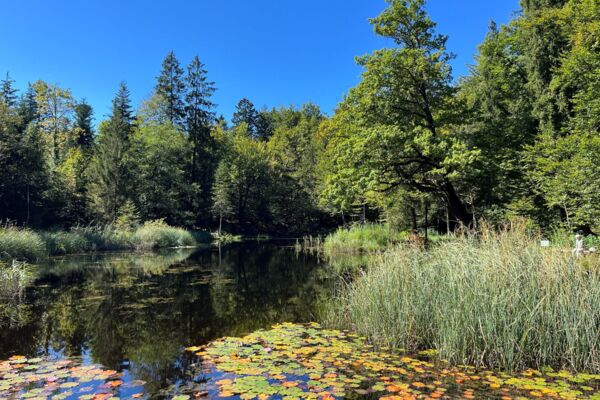 Chäsmärt Sarnen