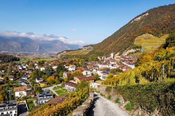 Le Chablais, pays de châtaignes