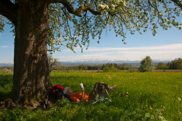 Le printemps sur le Seerücken