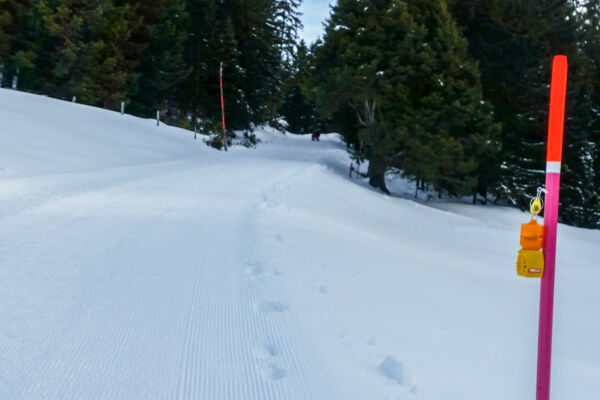 Chüematten-Trail am Niederhorn