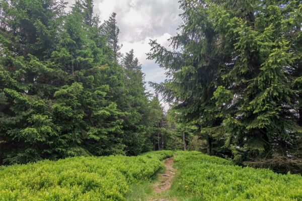 Gipfelglück im Entlebuch