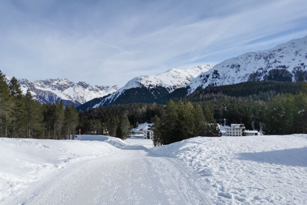 Soleil hivernal dans la vallée de la Landwasser