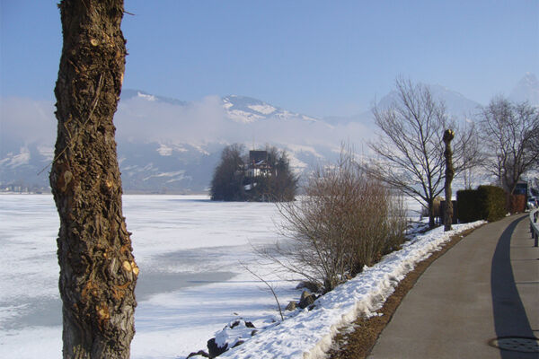 Eaux gelées