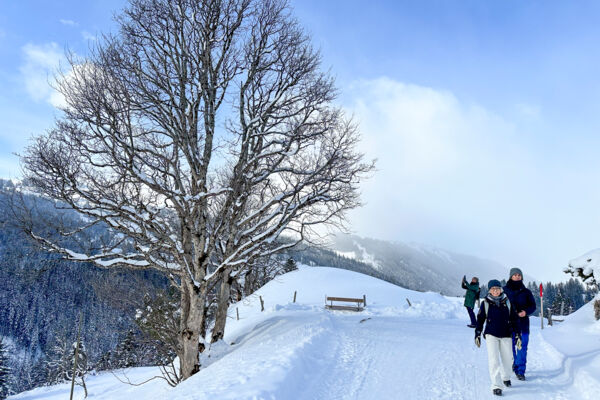 Winteridylle bei Gstaad