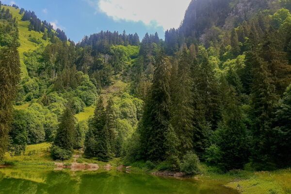 Unbekannte Gipfel im Greyerzerland