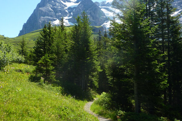 Tragödien und Triumphe am Eiger
