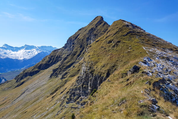 Gipfelerlebnis im Diemtigtal