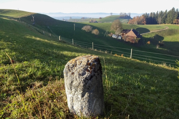 Rund um den Hegewald