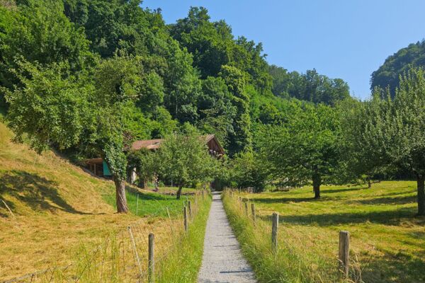 La fraîcheur des gorges de Choleren