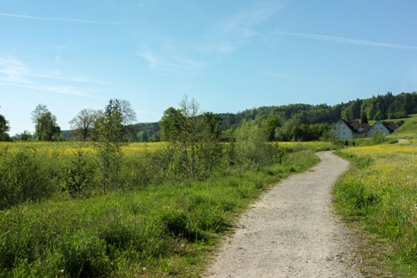 Attraverso la città, nella natura ZH