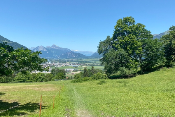 Randonnée apaisante dans la vallée du Rhin alpin