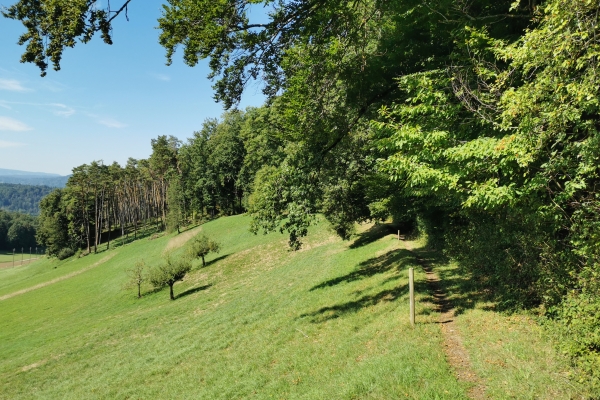 Sur la Via Natura