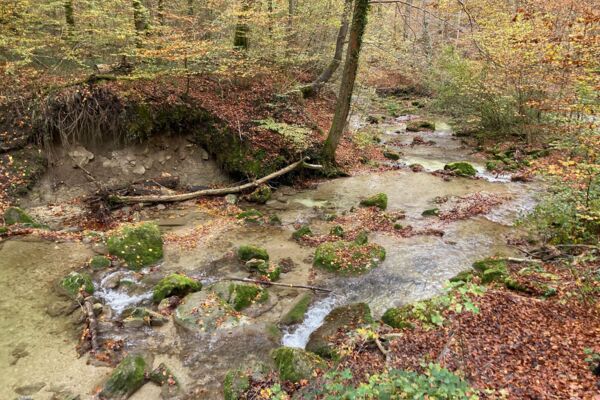 Durchs Naherholungsgebiet bei Zürich
