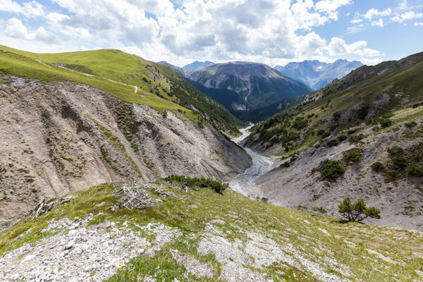 In der Wildnis des Nationalparks