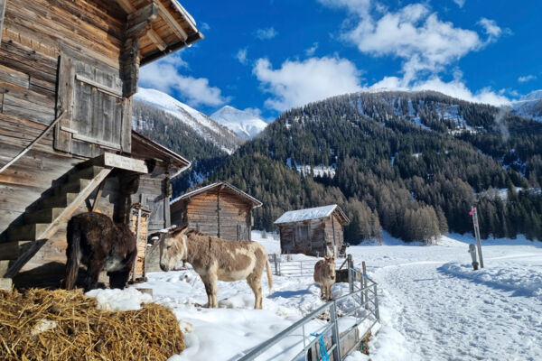 Schlaufe durch die Gommer Talsohle 