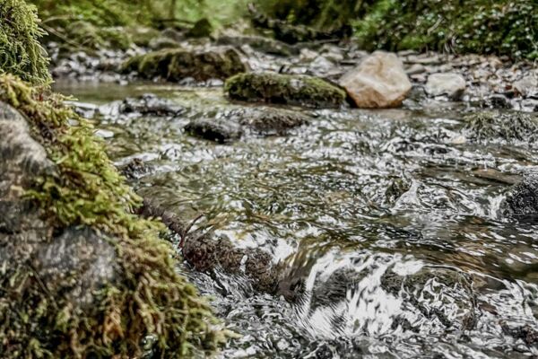 Dem Lauf des Tabeillon entlang
