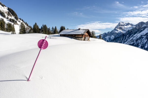 Bain de soleil devant l’ombre des Diablerets