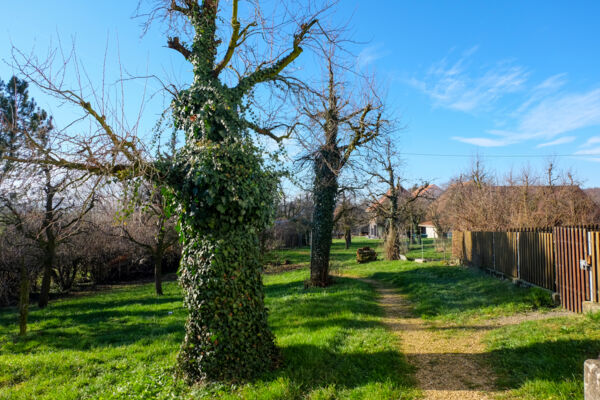 Im Baselbieter Tafeljura von Dorf zu Dorf