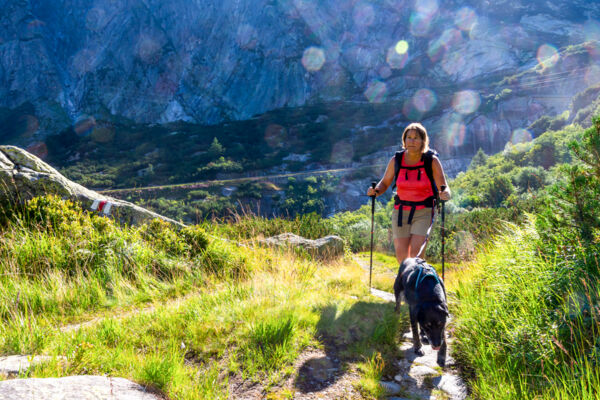 Entre agitation et calme au col du Grimsel
