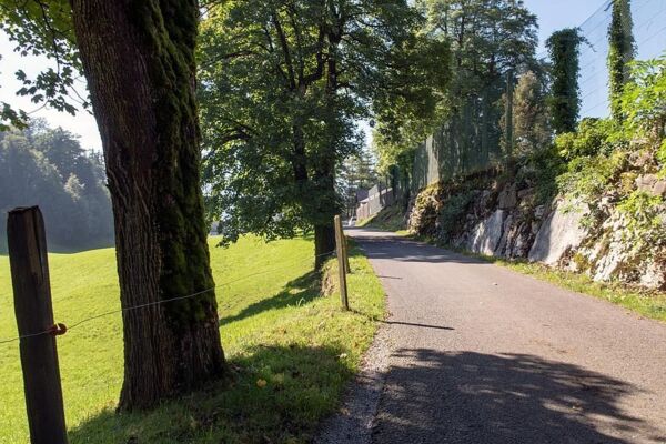 vom Niederbauen nach Klewenalp mit gratis Wurst