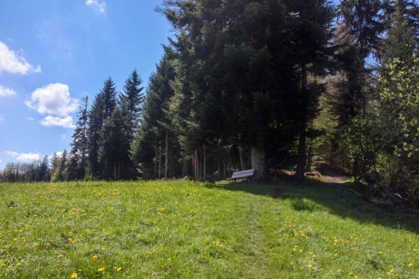 Hinauf in die Sonnenstube im Napfgebiet