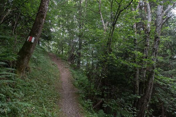 Passi lenti tra sentieri e villaggi della Leventina