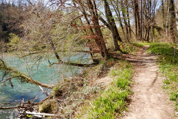 Am Ufer der naturbelassenen Reuss