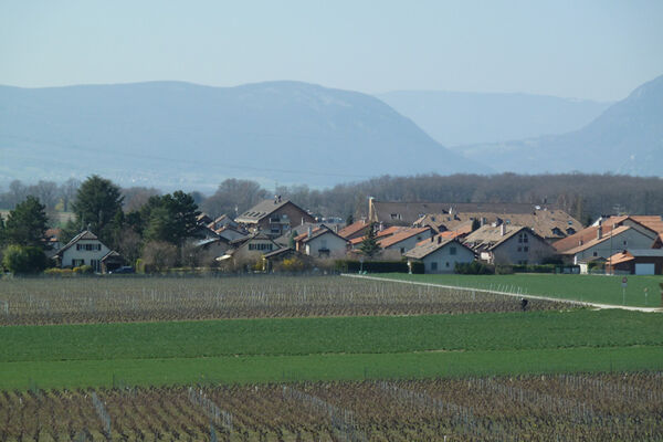 Le pays genevois