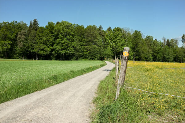 Attraverso la città, nella natura ZH