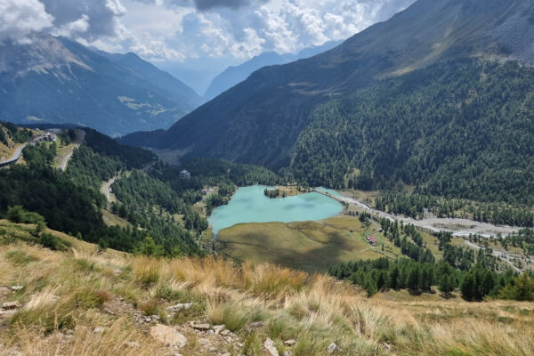 Über die Alp Grüm auf den Berninapass