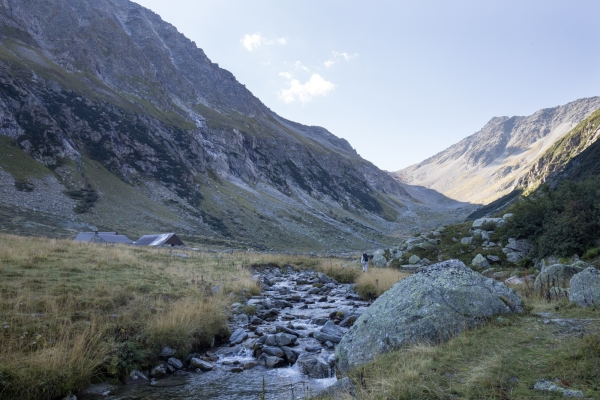 Auprès du roi des Alpes