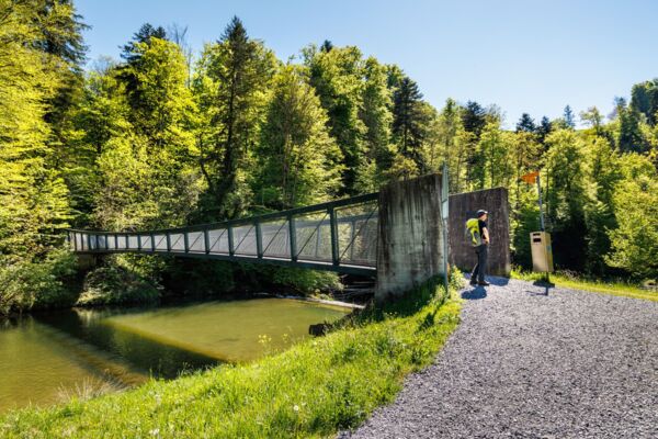 Excursion printanière dans un paysage de moraines