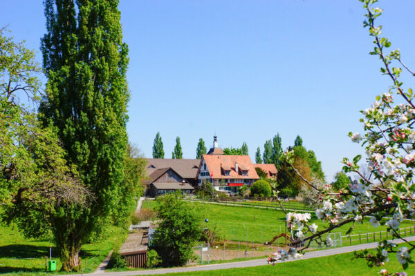 Raus aus der Stadt