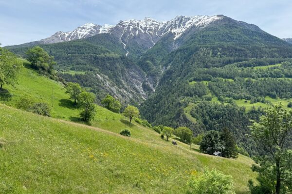 Castagneti, un ponte sospeso e charme urbano