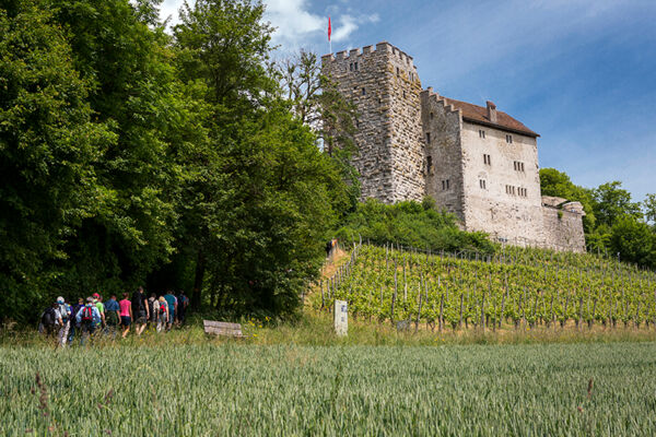 De Habsburg au château de Wildegg
