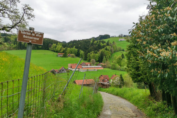 Entraînement dans l’avant-pays appenzellois