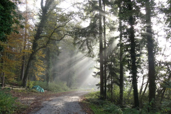 Grenzwandern in Schaffhausen