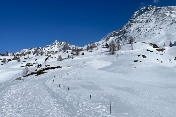 Courte randonnée au col du Simplon