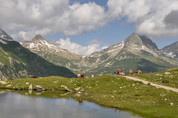 Durch 44 Kehren am Lolenpass