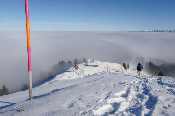 Appenzeller Panorama vom Kronberg