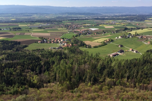 Feierabendwanderung in den Hügeln von Bern 