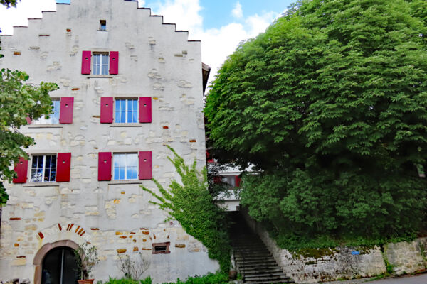 Rundwanderung um Osterfingen