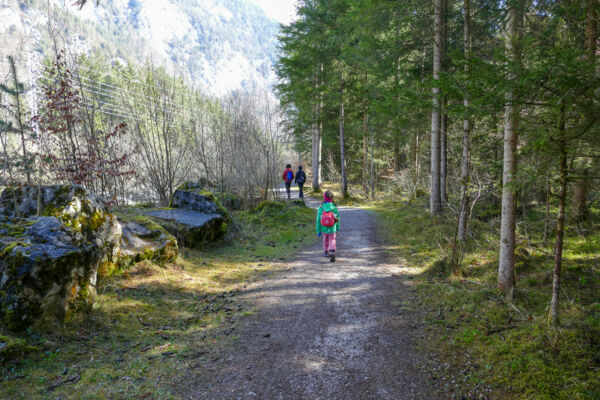 De la vallée de la Simme au lac de Thoune