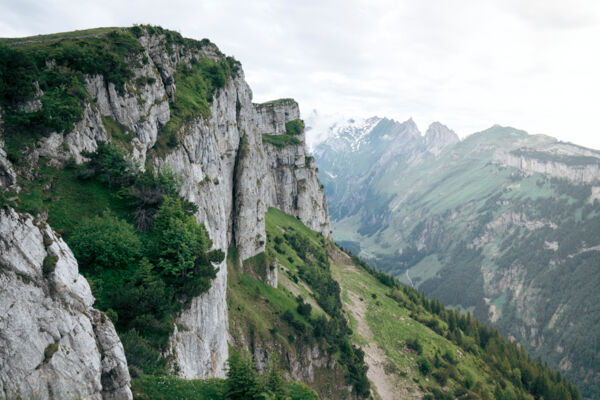 Blumenpracht und Rundsicht im Alpstein