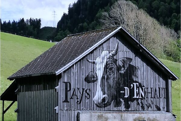 51. Roestigraben : étape 11, Montbovon - Château d'Oex