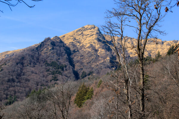 Die Selven von Alto Malcantone
